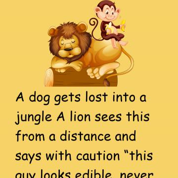 A Dog, A Lion And A Monkey
