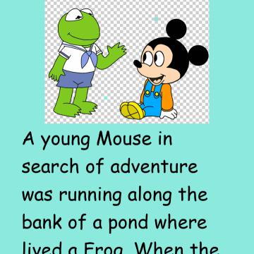 A Frog & A Mouse