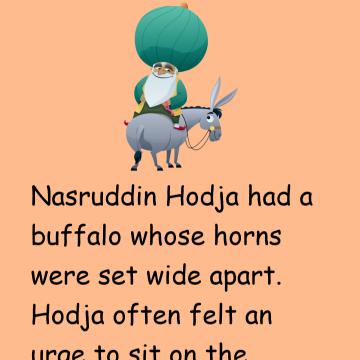 A Hodja In The Dust