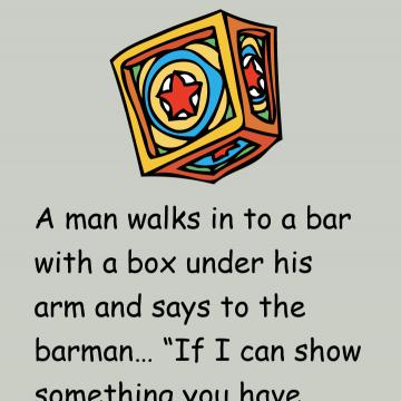 A Man Walks In To A Bar With A Box Under His Arm