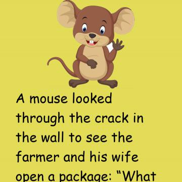 A Mouse Looked Through The Crack