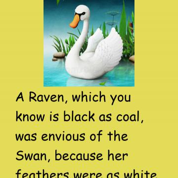 A Raven And A Swan