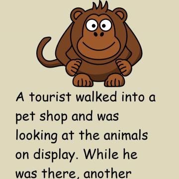 A Tourist Walked Into A Pet Shop