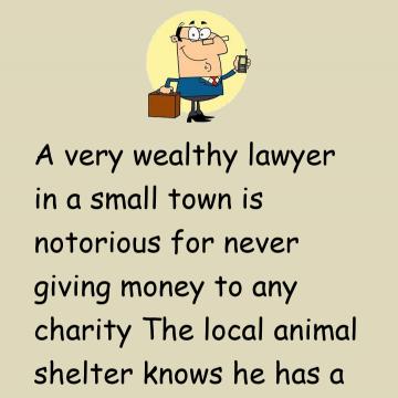 A Very Wealthy Lawyer In A Small Town