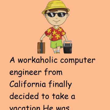 A Workaholic Computer Engineer Finally Decided To Take A Vacation