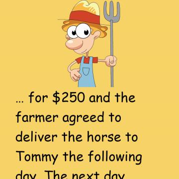 A Young Guy Called Tommy Bought A Horse From A Farmer