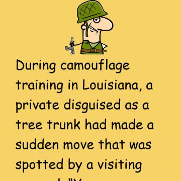 Camouflage Training