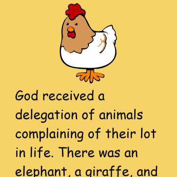 Chicken, Elephant, Giraffe And God