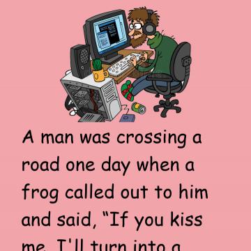 Computer Programmer And Frog