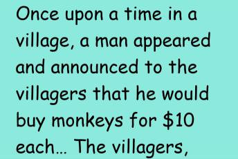 Cryptocurrency And The Monkey Story
