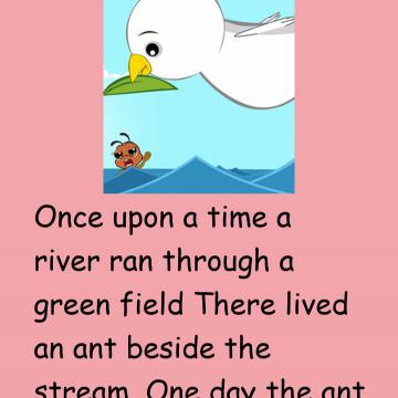 Dove & The Ant