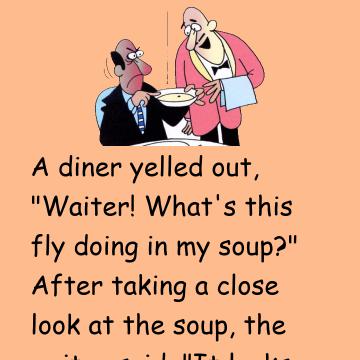Fly Soup The Usual