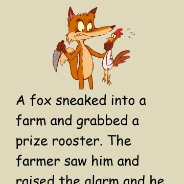 Fox And Rooster Story
