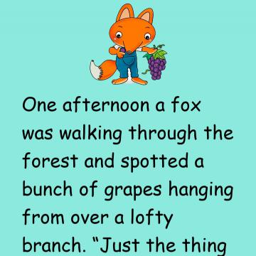 Fox And The Grapes