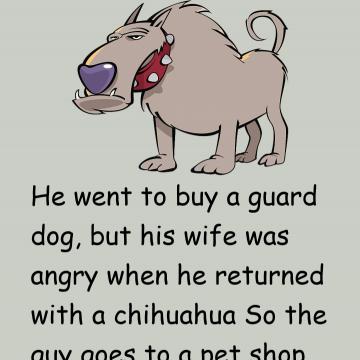 He Went To Buy A Guard Dog