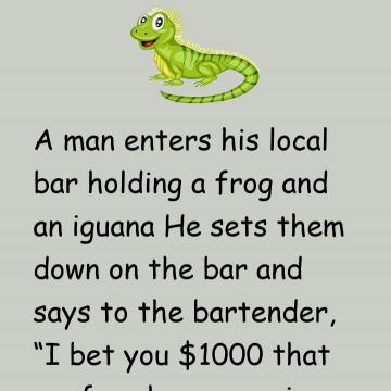 Iguana And Frog