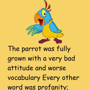 Joke: The Parrot Was Fully Grown With A Very Bad Attitude