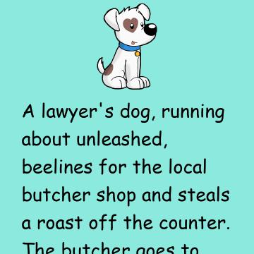 Lawyer’S Dog