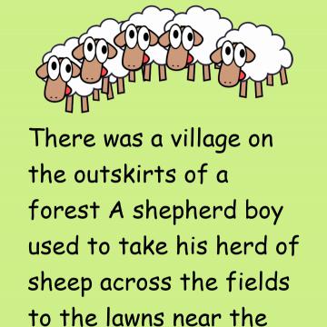 Liar Shepherd Story