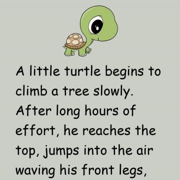 Little Turtle