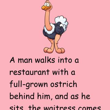 Man And Ostrich