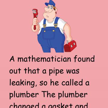 Mathematician And Plumber