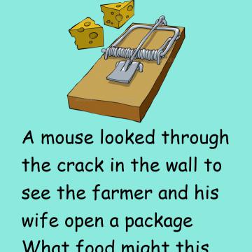 Mousetrap Story