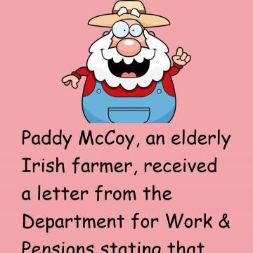 Paddy And The Half-Wit