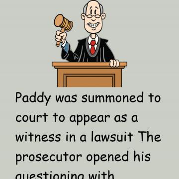 Paddy In Court