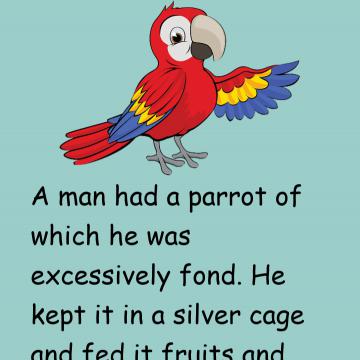 Parrot's Advices