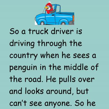 Penguin And Truck Driver
