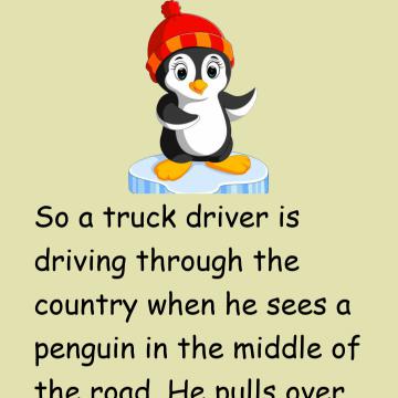 Penguin & Truck Driver