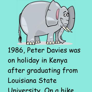Peter Davies And Elephant