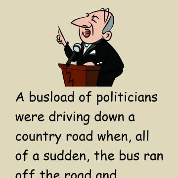Politicians And Lie