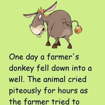 Story: The Farmer And His Donkey