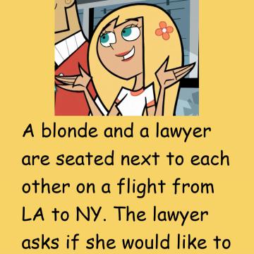 The Blonde & The Lawyer