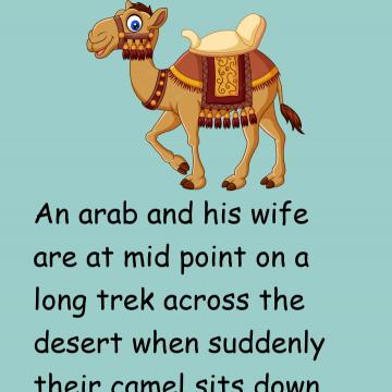 The Camel Refused To Budge