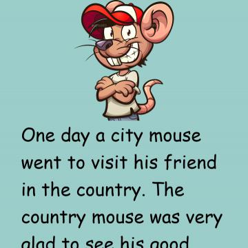 The City Mouse & The Country Mouse