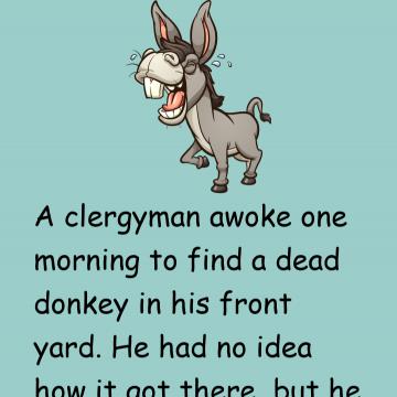 The Dead Donkey