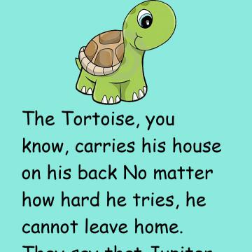 The Ducks And The Tortoise