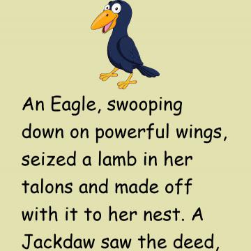 The Eagle And The Jackdaw