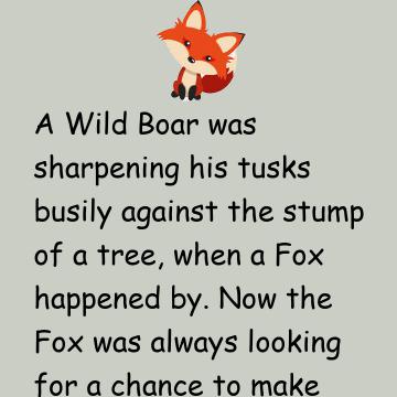 The Fox & The Wild Boar