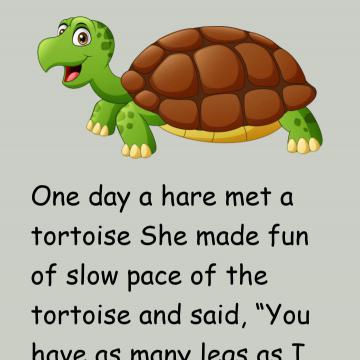 The Hare And The Tortoise Story