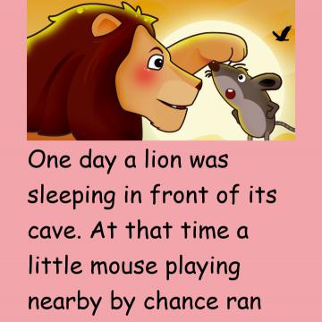 The Mouse & The Lion