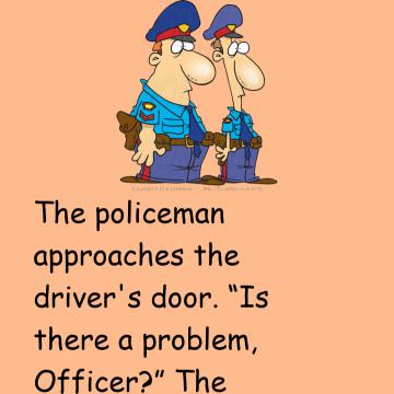 The Policeman And Driver