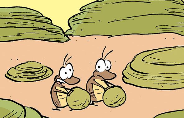 The Snail And The Dung Beetle