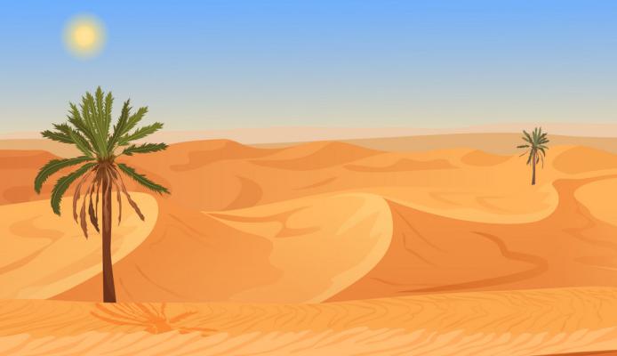 Tie In The Desert