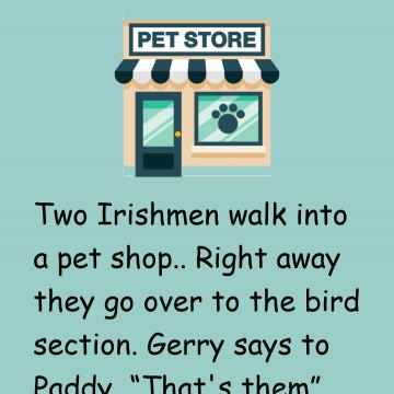 Two Irishmen Walk Into A Pet Shop