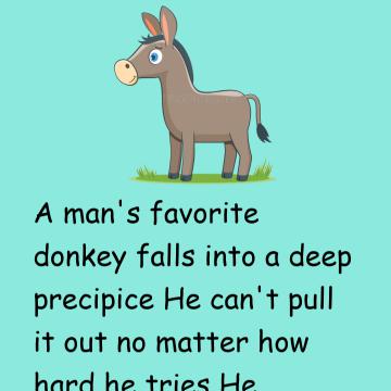 What Can We All Learn From The Donkey?