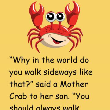 Young Crab & His Mother